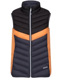 Regatta - Ladies Harrock Ii Baffled Gilet (Seal/ - Lyst