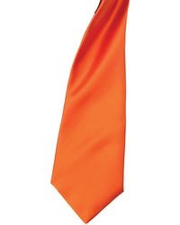 PREMIER - Colours Satin Clip Tie (Pack Of 2) (Terracotta) - Lyst
