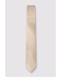 Antique Rogue - Paisley Tie - Lyst
