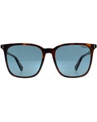 Polaroid - Square Havana Polarized Pld 6226/S - Lyst