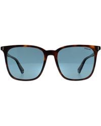 Polaroid - Square Havana Polarized Pld 6226/S - Lyst