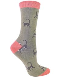 Miss Sparrow - Novelty Animal Soft Bamboo Breathable Socks - Lyst
