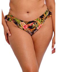 Elomi - Tiger Valley High Leg Bikini Brief - Lyst