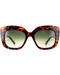 Ted Baker - Cat Eye Double Champagne Demi Gradient Tb1675 Hattie - Lyst