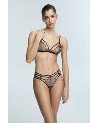 Penti - Embroidered Lace Bralette - Lyst