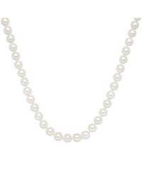 Rafaela Donata - Shell Pearl(S) Necklace - Lyst