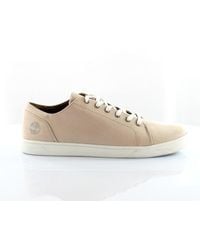 Timberland - Bayham Light Canvas Oxford Low Lace Up Trainers A1Pgo - Lyst