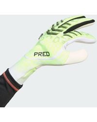 adidas Originals - Predator Pro Fingersave Goalkeeper Gloves - Lyst