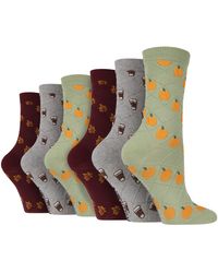 Wildfeet - 6 Pair Multipack Ladies Autumn Socks - Lyst