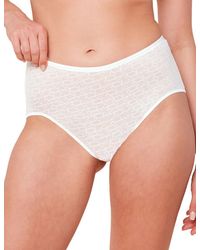 Triumph - Signature Sheer Maxi Brief - Lyst