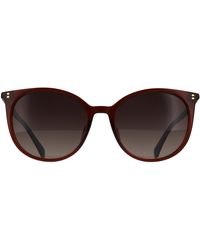 Polaroid - Cat Eye Gradient Polarized Pld 4208/Sx - Lyst