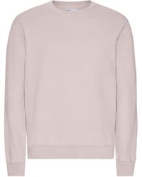 COLORFUL STANDARD - Classic Organic Crew Neck Sweatshirt - Lyst