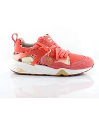 PUMA - Blaze Of Glory Bog X Careaux X Graphic Trainers 361525 01 - Lyst