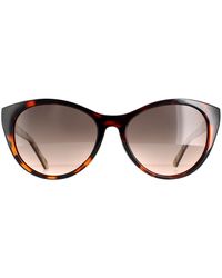 Ted Baker - Cat Eye Tortoise Flower Gradient Tb1583 Lisbet Sunglasses - Lyst