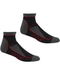 Regatta - Ladies Samaris Trail Colour Block Ankle Socks (Pack Of 2) /Cherry) - Lyst