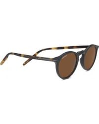 Serengeti - 8837-Au 48 Raffaele Sunglasses - Lyst