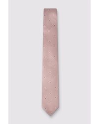 Antique Rogue - Paisley Tie - Lyst