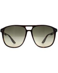 BMW - Aviator Dark Havana Gradient Polarized Bw0001 Sunglasses - Lyst
