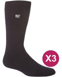 Heat Holders - 3 Pack Multipack Insulated Thermal Socks For Winter - Lyst