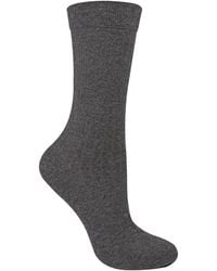 Steve Madden - Ladies Organic Cotton Camel Wool Socks - Lyst