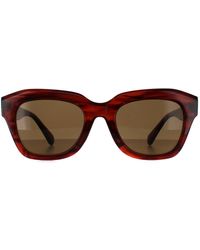Smarty - Square S Demi Transparant Bruin Sb2311 - Lyst
