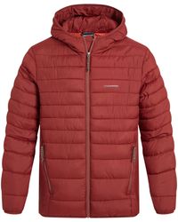 Craghoppers - Compresslite Ix Hooded Padded Jacket Jasper) - Lyst