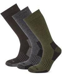 TOG24 - Villach 3 Pack Trek Socks Dark Marl/Khaki - Lyst
