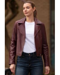 Ashwood Leather - Real Veg Tanned Plain Biker Jacket - Lyst