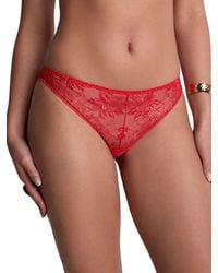 Aubade - Rules Of Attraction Italian Brief - Lyst
