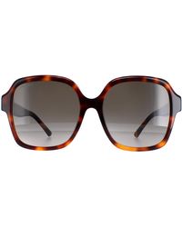 Jimmy Choo - Square Dark Havana Gradient Rella/G/S - Lyst