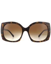 Dolce & Gabbana - Sunglasses Dg4385 502/13 Havana Gradient Dark - Lyst