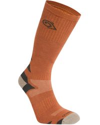 Craghoppers - Nosilife Adventure Socks - Lyst