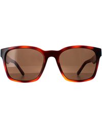 Ferragamo - Square Tortoise Sf959S - Lyst