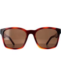 Ferragamo - Square Tortoise Sf959S - Lyst