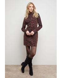 Oasis - Leopard Print High Neck Knitted Mini Dress - Lyst