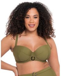 Curvy Kate - Retro Sun Balcony Bikini Top - Lyst