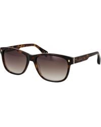 Ted Baker - Tb1753 58119 58 119 Sunglasses - Lyst