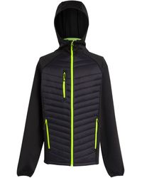 Regatta - Navigate Quilted Hybrid Jacket /Lime) - Lyst