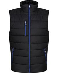 Regatta - Navigate Thermal Body Warmer /New Royal) - Lyst