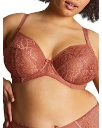 Panache - Estel Plunge - Lyst