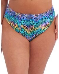 Elomi - 800772 Electric Savannah Bikini Briefs - Lyst