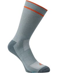 Dare 2b - Adult Endurance Walking Socks (Lead/Stormy Weather/Spicy) - Lyst