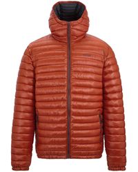 Regatta - Hurden Padded Jacket (Brick) - Lyst