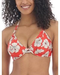 Freya - Hibiscus Beach Halter Bikini Top - Lyst