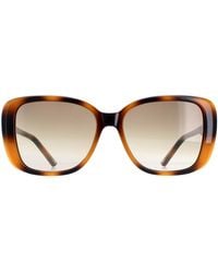 Ted Baker - Sunglasses Tb1640 Margo 136 Havana Gradient - Lyst