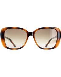Ted Baker - Sunglasses Tb1640 Margo 136 Havana Gradient - Lyst