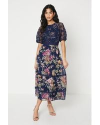 Oasis - Petite Occasion Floral Lace Bodice Midi Dress - Lyst