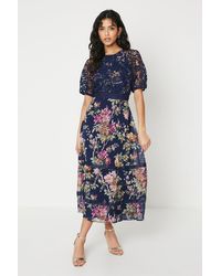 Oasis - Petite Occasion Floral Lace Bodice Midi Dress - Lyst