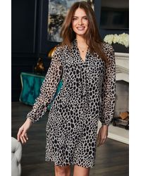 Sosandar - Animal Print Tie Neck Shift Dress - Lyst