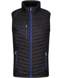 Regatta - Navigate Quilted Hybrid Gilet /New Royal) - Lyst